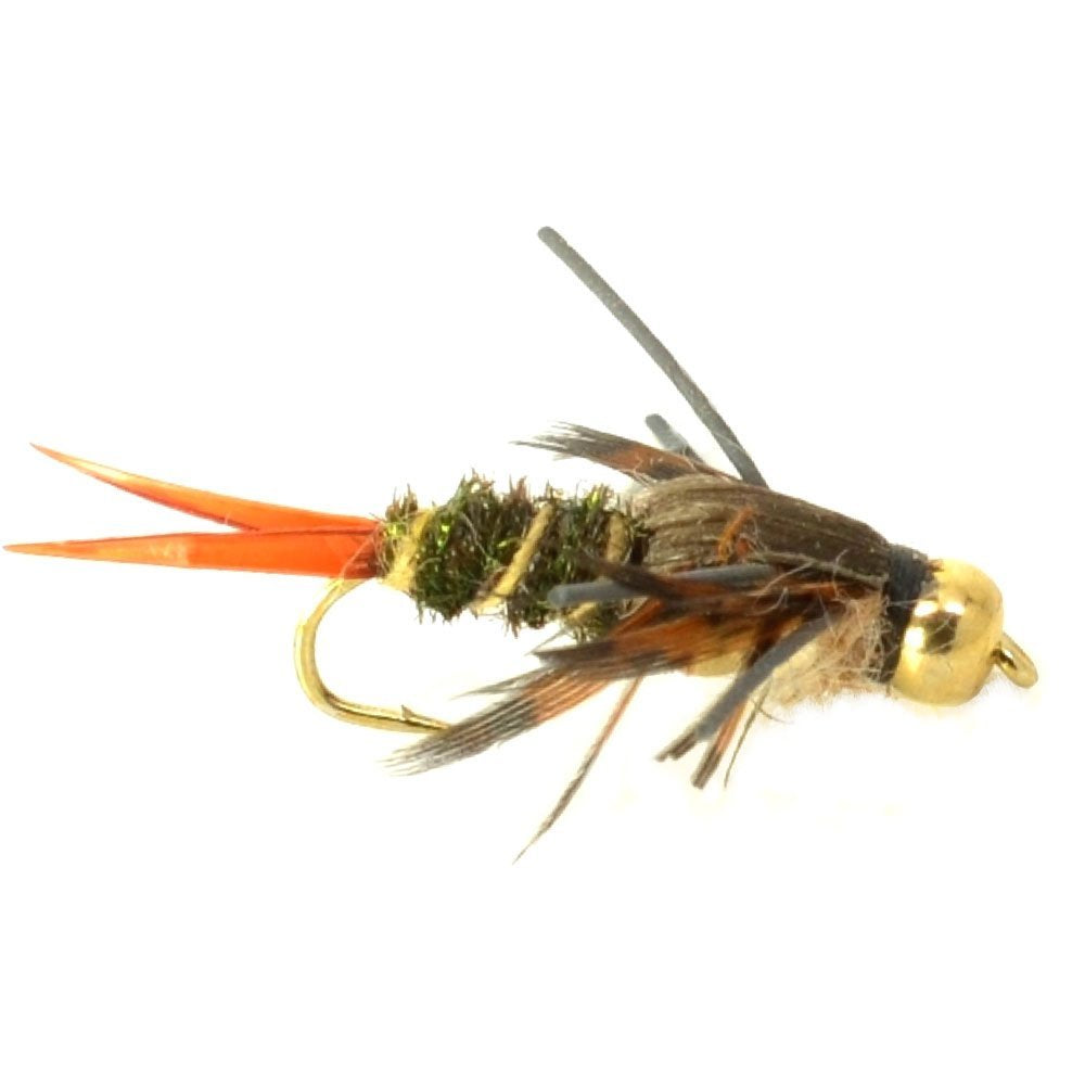 Basics Collection - Double Bead Nymph Assortment - 10 Flies - Size 14