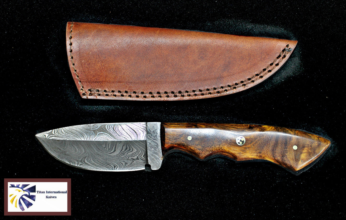 Hand forged knife, Damascus knife, Drop- Style blade, Black Walnut Scales Hunting knife by Titan Td-181