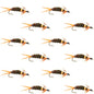Double Bead Prince Nymph Fly Fishing Flies - 12 Flies Hook Size 12