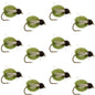 LaFontaine Olive Deep Sparkle Caddis Pupa - 1 Dozen Flies Hook Size 14