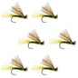 Barbless Olive X Caddis Emerging Caddis Adult Fly - 6 Flies Size 16