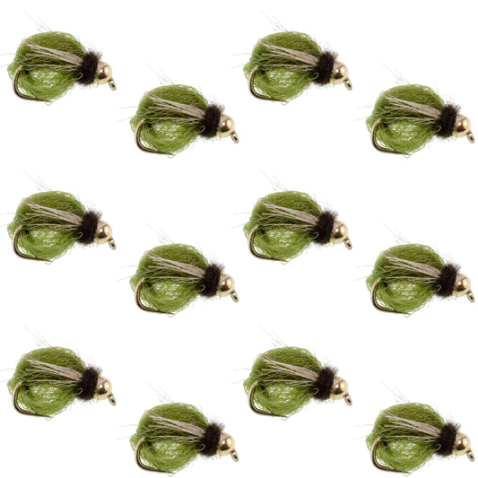 Bead Head LaFontaine Olive Deep Sparkle Caddis Pupa - 12 Flies Size 12