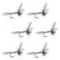 Barbless White Wulff Classic Hair Wing Dry Fly - 6 Flies Hook Size 10