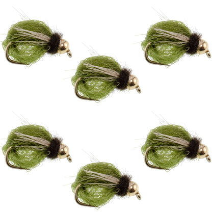LaFontaine Olive Deep Sparkle Caddis Pupa - 6 Flies Hook Size 16