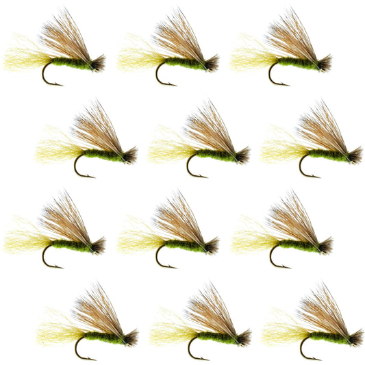 Barbless Olive X Caddis Emerging Caddis Adult Fly - 12 Flies Size 14