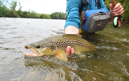 Tungsten Hot Spot Purple Perdigon Tactical Euro Nymph Fly - 6 Flies Size 14