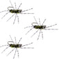3 Pack Pat's Rubber Legs Tungsten Jigged Black/Olive Euro Nymph Size 6