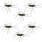 Barbless Pat's Rubber Legs Tungsten Jig Black/Olive Euro Nymph 6 Flies #6