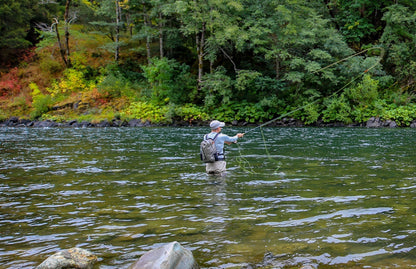 Olive Beaded Shrimp Scud Pattern - 1 Dozen Size 16 - Tailwater Lake Fly Fishing Nymph