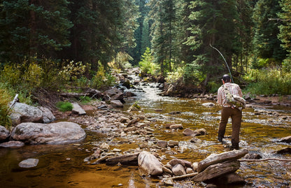 Hares Ear Parachute Classic Dry Fly - 6 Flies Hook Size 10