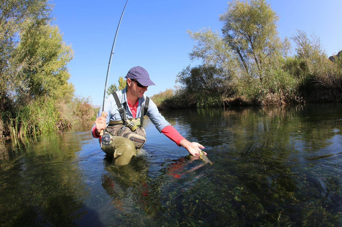 Tungsten Bead Tactical Olive Mini Bugger Euro Nymphing Fly - 6 Flies Size 12