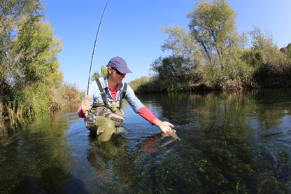 Basics Collection - Kaufmann's Brown Stonefly Kit 10 Flies #Sizes 6-12