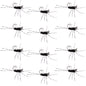 Barbless Pats Rubber Legs Tungsten Jig Black Euro Nymph 12 Flies #6
