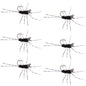 Barbless Pat's Rubber Legs Tungsten Bead Jig Black Euro Nymph 6 Flies #6