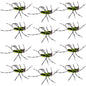 Pat's Rubber Legs Tungsten Jig Black/Chartreuse Euro Nymph 12 Flies Size 6