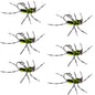 Barbless Pat's Rubber Legs Tungsten Black/Chartreuse Euro Nymph 6 Flies #6