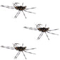 3 Pack Pat's Rubber Legs Tungsten Jigged Black/Coffee Euro Nymph Size 6