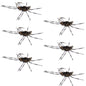 Barbless Pat's Rubber Legs Tungsten Jig Coffee/Black Euro Nymph 6 Flies #6