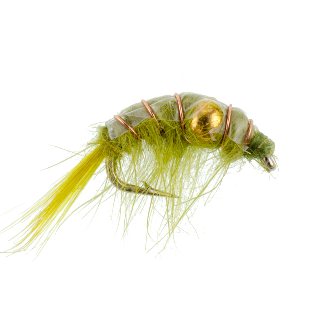 3 Pack Olive Beaded Shrimp Scud Pattern - Size 12 - Tailwater Lake Fly Fishing Nymph