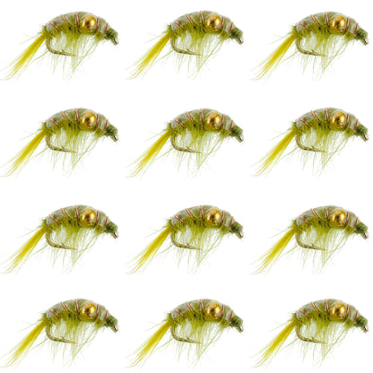 Olive Beaded Shrimp Scud Pattern - 1 Dozen Size 12 - Tailwater Lake Fly Fishing Nymph