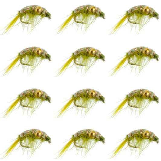 Olive Beaded Shrimp Scud Pattern - 1 Dozen Size 12 - Tailwater Lake Fly Fishing Nymph