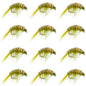 Olive Beaded Shrimp Scud Pattern - 1 Dozen Size 12 - Tailwater Lake Fly Fishing Nymph