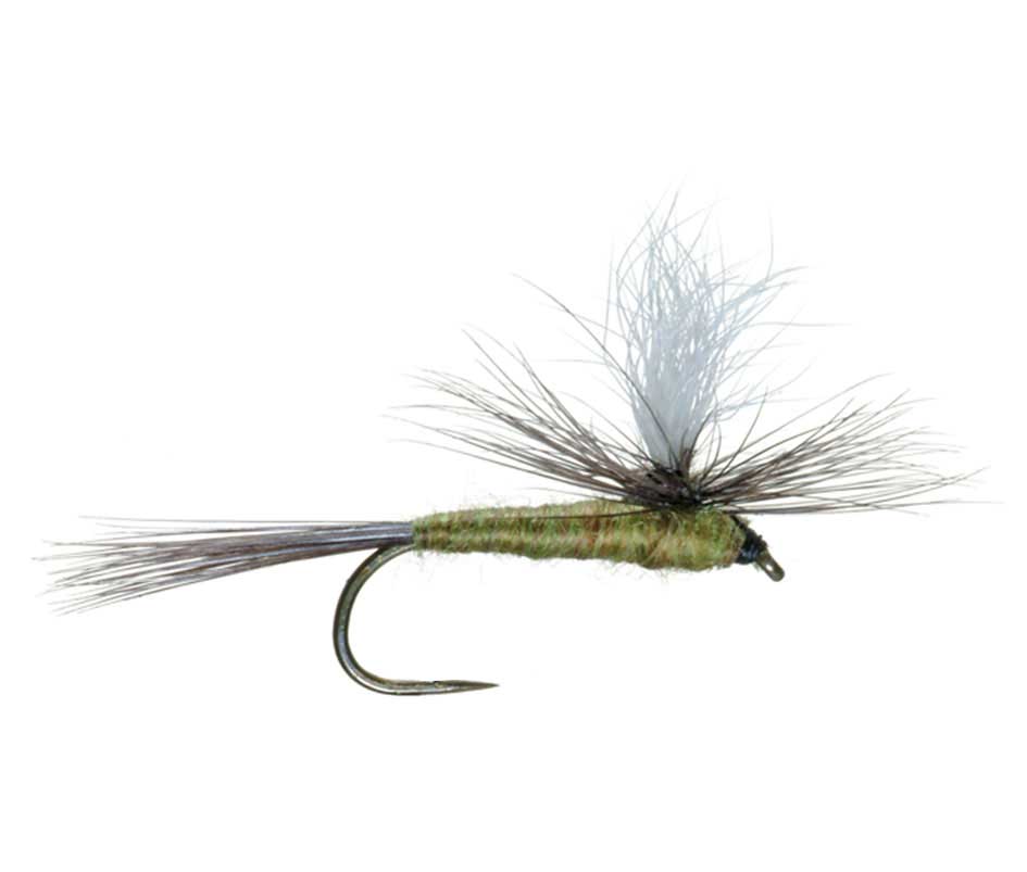 Barbless Parachute Blue Winged Olive BWO Dry Fly - 6 Flies Size 18