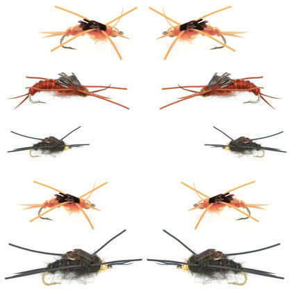 Basics Collection - Kaufmanns Stonefly Assortment - 10 Flies Sizes 4-12