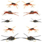 Basics Collection - Kaufmanns Stonefly Assortment - 10 Flies Sizes 4-12
