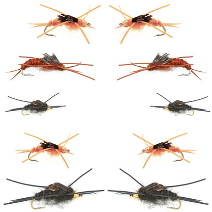 Basics Collection - Kaufmann's Tungsten Stonefly Nymphs 10 Flies  #4-12