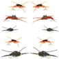 Basics Collection - Kaufmann's Tungsten Stonefly Nymphs 10 Flies  #4-12