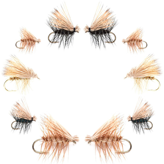 Basics Collection - Elk Hair Caddis Assortment - 10 Flies - Sizes 12-18