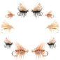 Basics Collection - Elk Hair Caddis Assortment - 10 Flies - Sizes 12-18