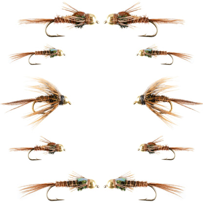 Basics Collection - Beaded Pheasant Tail Nymph Assortment - 10 Flies #14-18