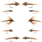 Basics Collection - Beaded Pheasant Tail Nymph Assortment - 10 Flies #14-18