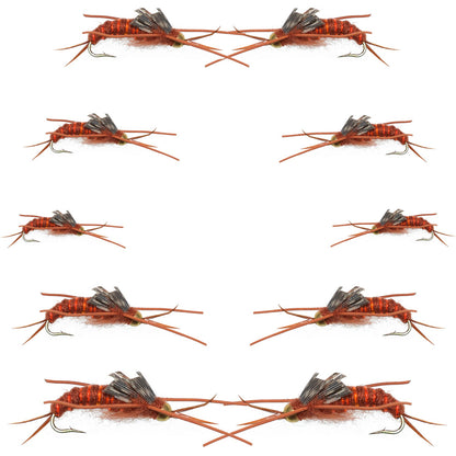 Basics Collection - Kaufmann's Brown Stonefly Kit 10 Flies #Sizes 6-12