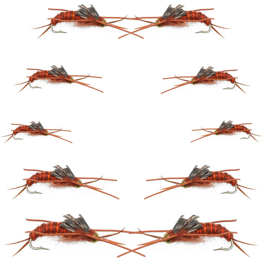 Basics Collection - Kaufmann's Brown Stonefly Kit 10 Flies #Sizes 6-12