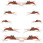 Basics Collection - Kaufmann's Brown Stonefly Kit 10 Flies #Sizes 6-12