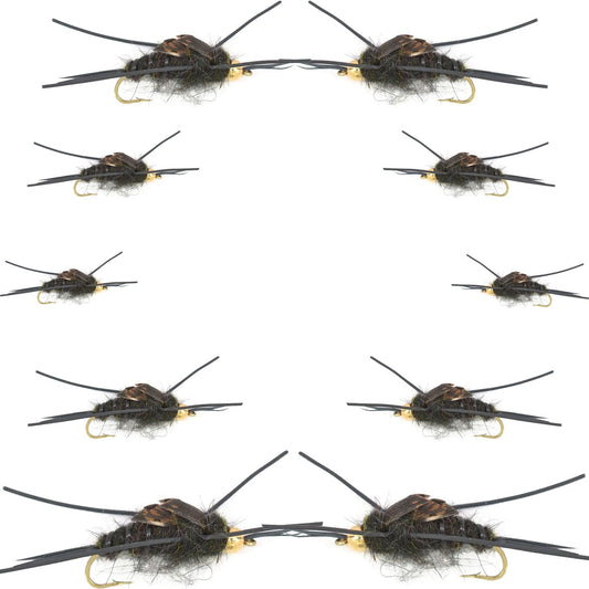 Basics Collection - Kaufmann's Tungsten Black Stonefly Kit 10 Flies #4-12