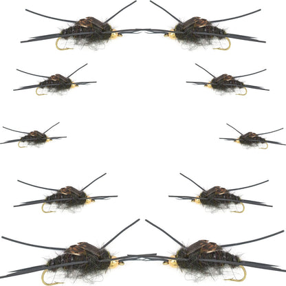 Basics Collection - Kaufmanns Black Stonefly Assortment - 10 Flies #4-12