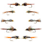 Basics Collection - Flash Back Tungsten Bead Head Nymphs 10 Flies  #10-16