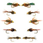 Basics Collection - Bead Head Nymph Assortment - 10 Flies Sizes 12-16