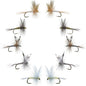 Basics Collection - Classic Dry Fly Assortment - 10 Flies - Sizes 12-16