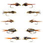 Basics Collection - Tungsten Bead Nymph Assortment - 10 Flies - Sizes 10-16