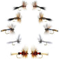 Basics Collection - Wulff Fly Assortment - 10 Flies - 5 Patterns - Sizes 10-14