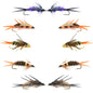 Basics Collection - Double Bead Nymph Assortment - 10 Flies - Size 14