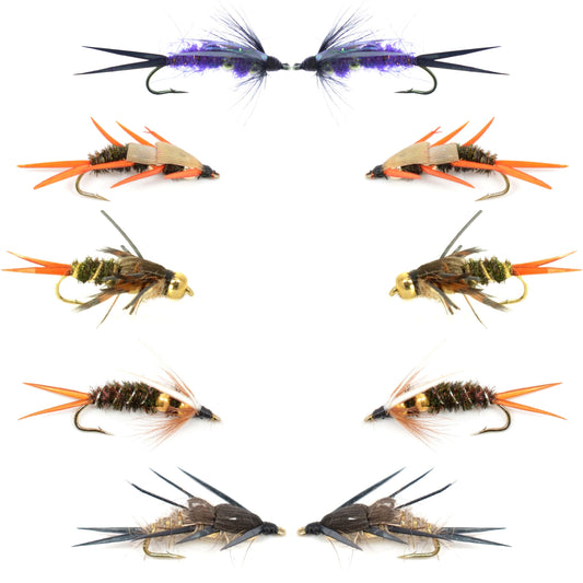 Basics Collection - Double Bead Nymph Assortment - 10 Wet Flies - Size 12