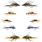 Basics Collection - Double Bead Nymph Assortment - 10 Flies - Size 8