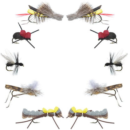 Basics Collection - Terrestrials Fly Assortment - 10 Flies - Sizes 10-14