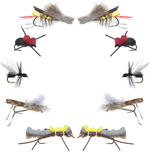 Basics Collection - Terrestrials Fly Assortment - 10 Flies - Sizes 10-14